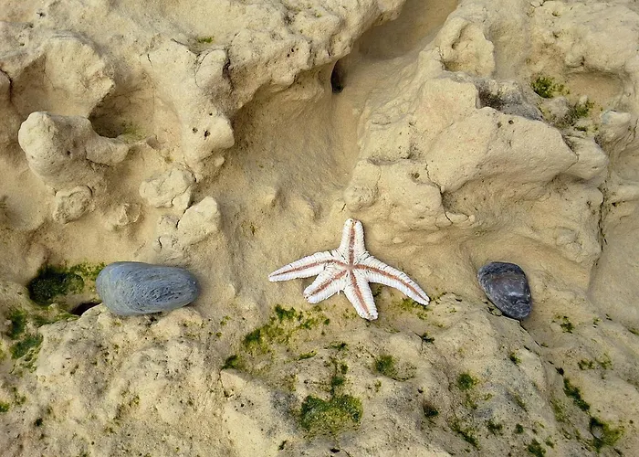 Sunshine 度假居 阿尔布费拉