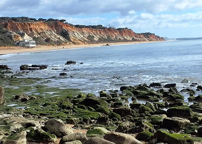 Sunshine * Albufeira